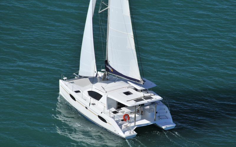 Leopard 39