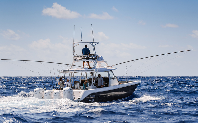 Everglades  455CC