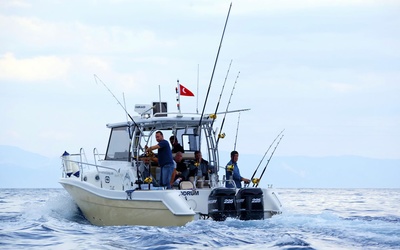Mercan Bonito 32 OB