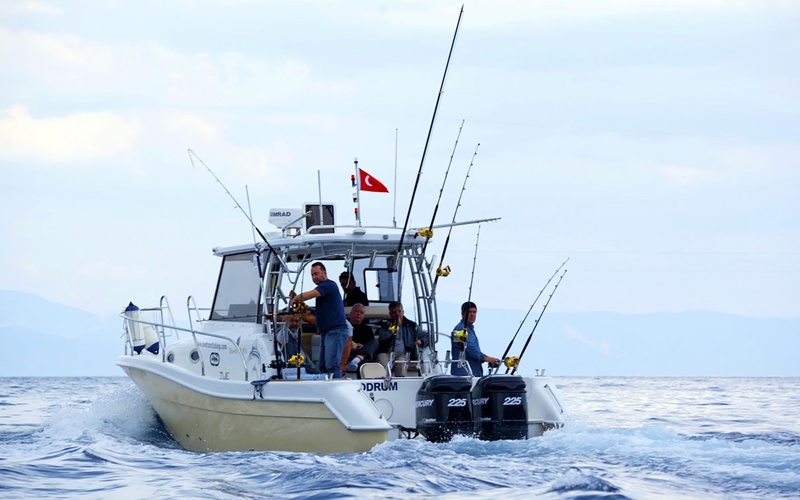 Mercan Bonito 32 OB