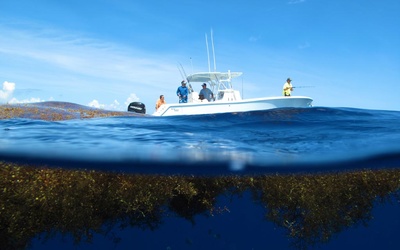 SeaVee 320