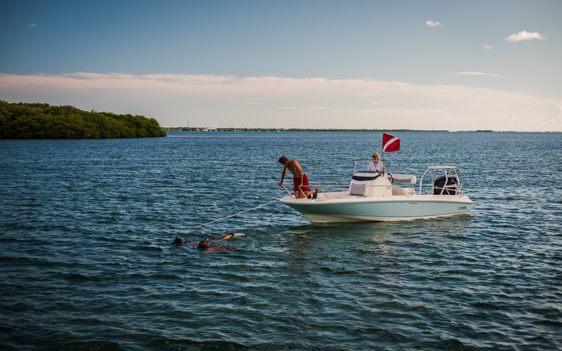 Boston Whaler 210 Dauntless