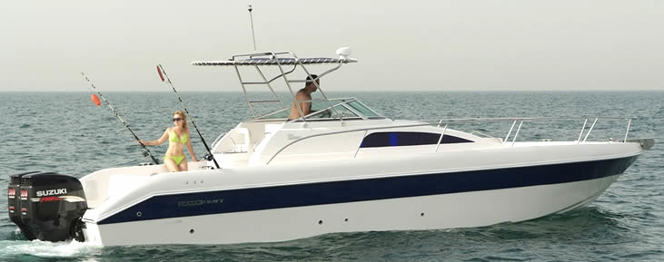 Silvercraft 33SC
