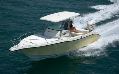 Fishing Raptor 265 Saint Tropez