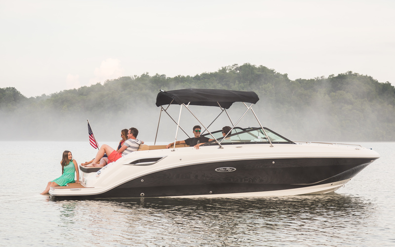 Sea Ray SDX 250