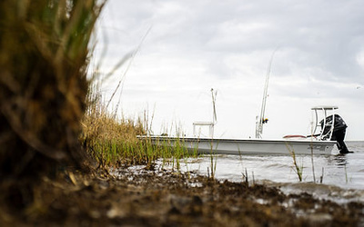 ZCB Pelican 16