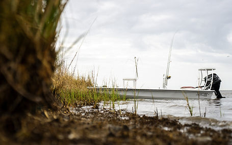 ZCB Pelican 16