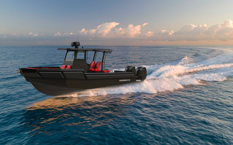 Porpoise C295