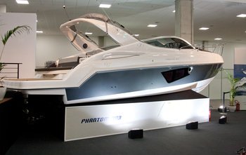 Schaefer 303 (2019)