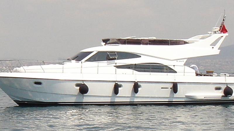 Leomar 53