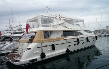 Falcon Amorina