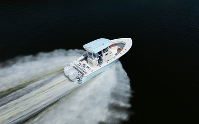 Blackwood 290 LXF