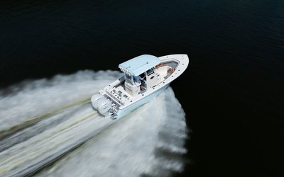 Blackwood 290 LXF