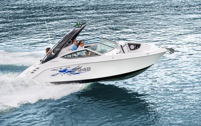 Fibrafort Focker 242 GTO