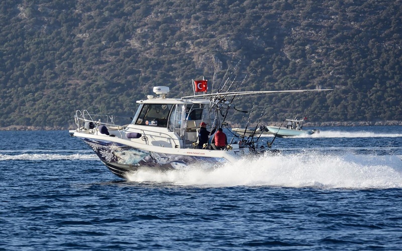 Mercan Bonito 32 OB
