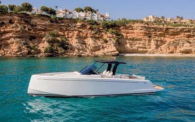 Pardo 38