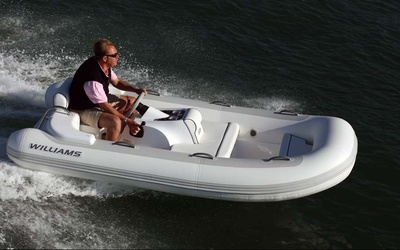 Williams Turbojet 325
