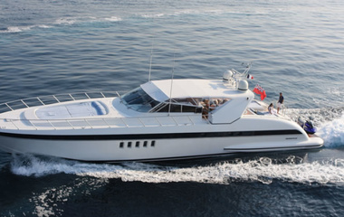 Mangusta Erasmo