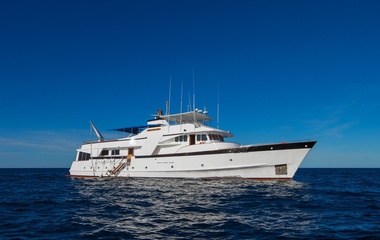 Moonen Beluga
