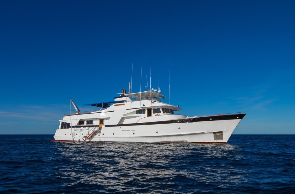 Moonen Beluga