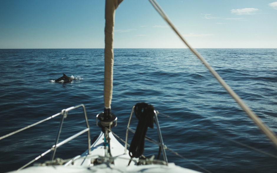 New Year's regatta in the Canary Islands from "Wind Force". Photo: "Wind Power."