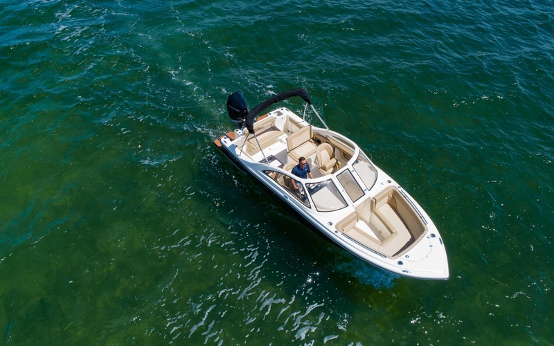 Scout 240 Dorado