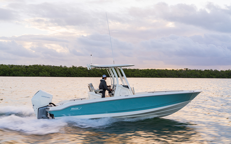 Boston Whaler 250 Dauntless