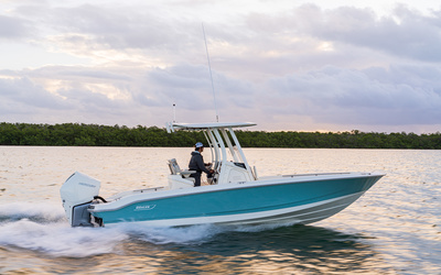Boston Whaler 250 Dauntless