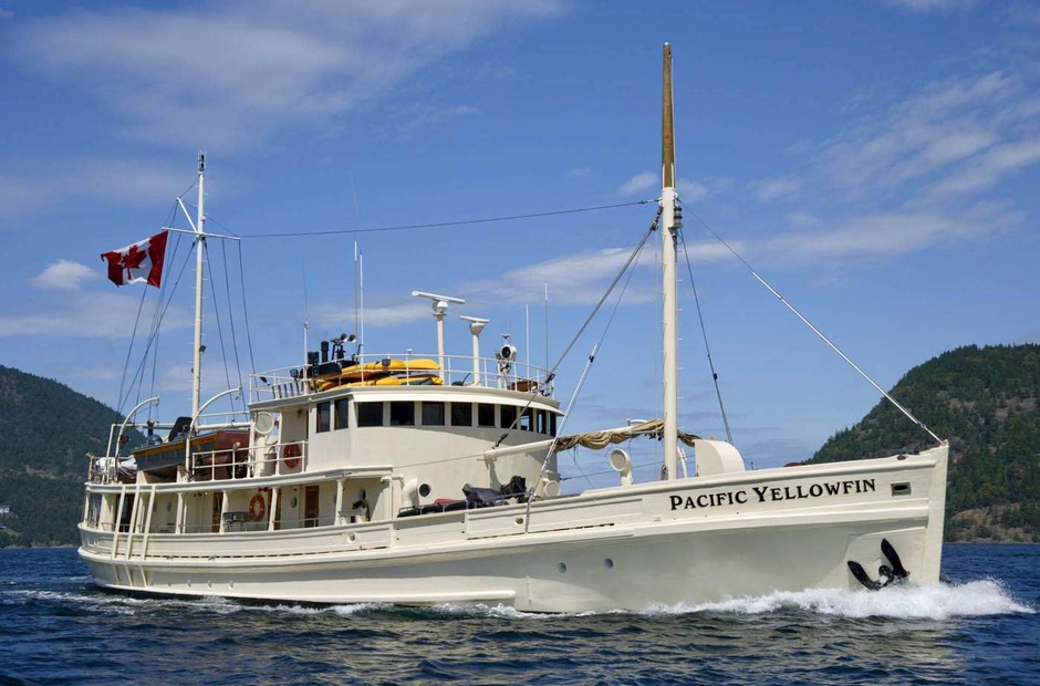 Custom Pacific Yellowfin