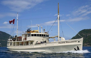 Custom Pacific Yellowfin