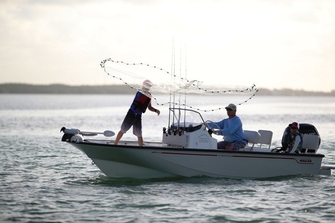 Boston Whaler 170 Montauk