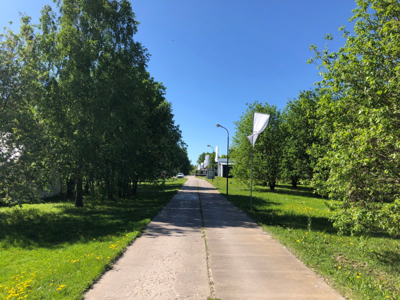 Concrete on the way to the «Gulsa Yacht Club.»