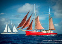 Scarlet sails... ...and not only