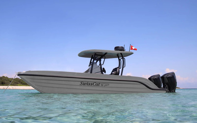 SwissCat 26