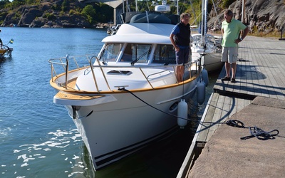 Heyman Celeste 37