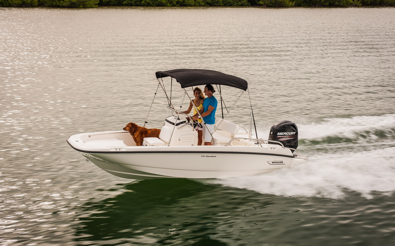 Boston Whaler 170 Dauntless