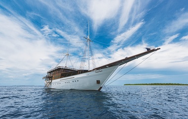 Custom Ocean Pure 1