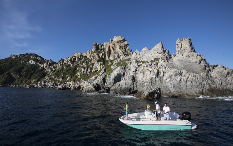 Bayliner Element CC6