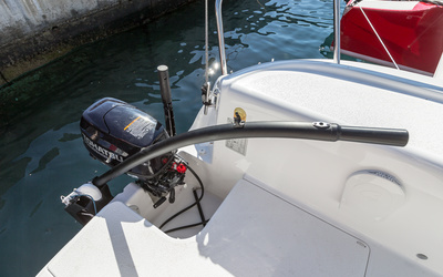 Dragonfly 25