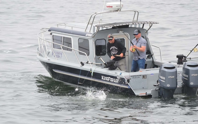 KingFisher 2725