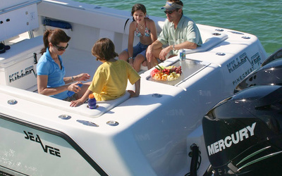 SeaVee 390