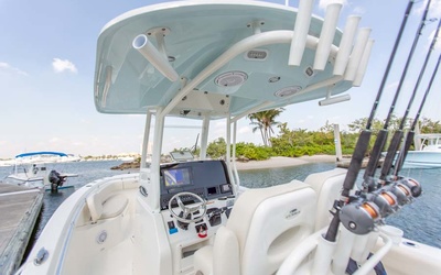 Cobia 262 CC