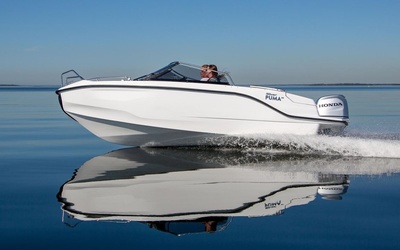Silver Puma BR