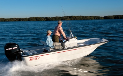 Boston Whaler 150 Montauk