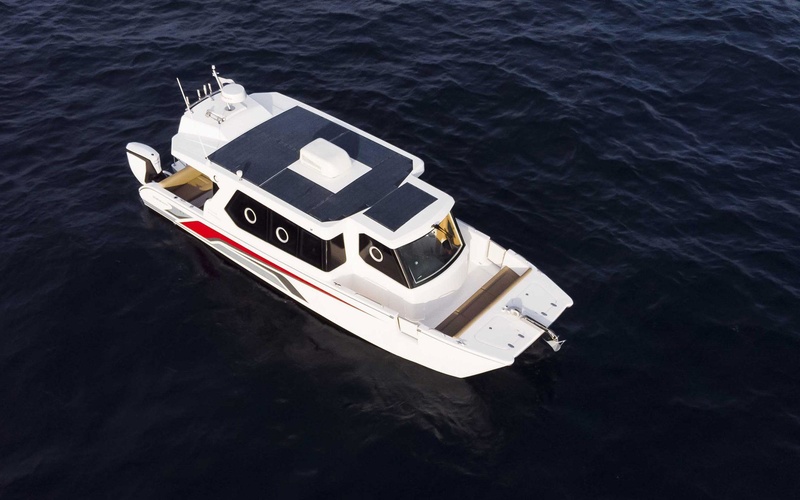 SilverCat 34 Lux