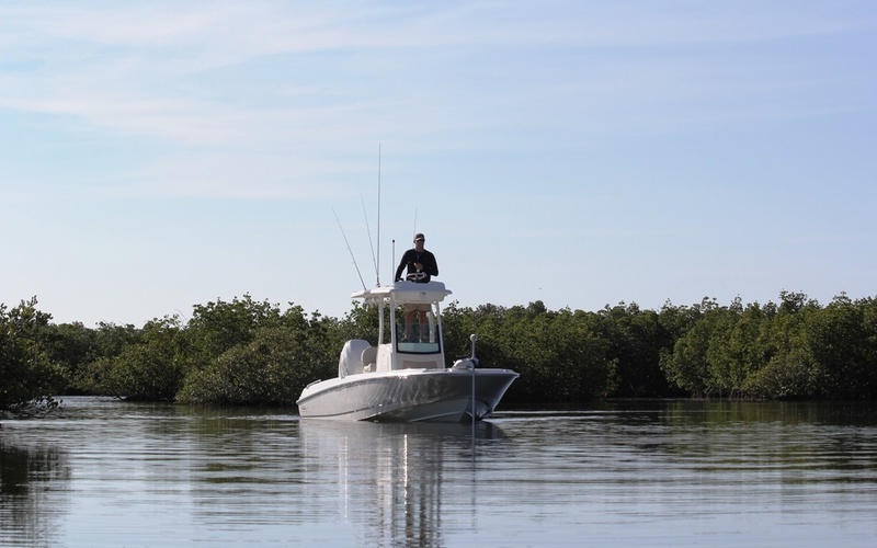 Boston Whaler 240 Dauntless PRO