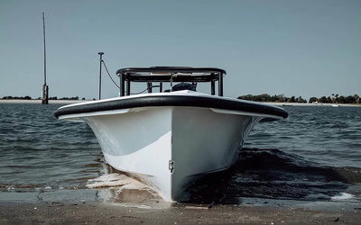 Bonefish Bohemian 17