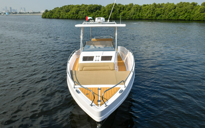 Al Shaali Warrior 33