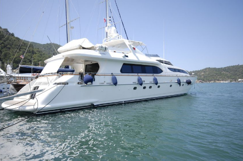 Falcon Royal Life