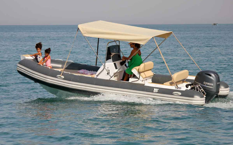 Tiger Marine Open 650